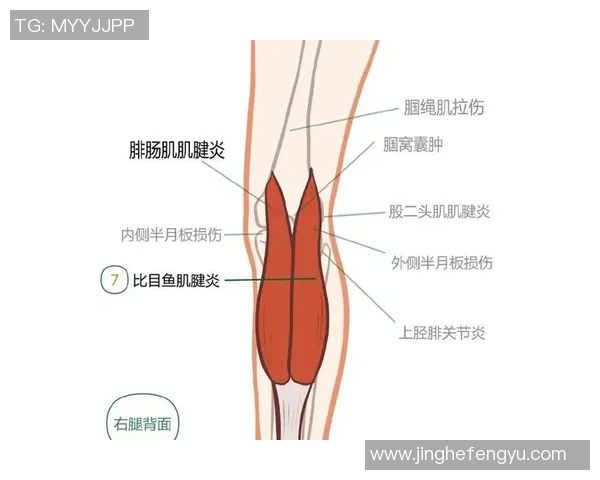 打篮球时膝盖疼痛的原因及预防措施探讨